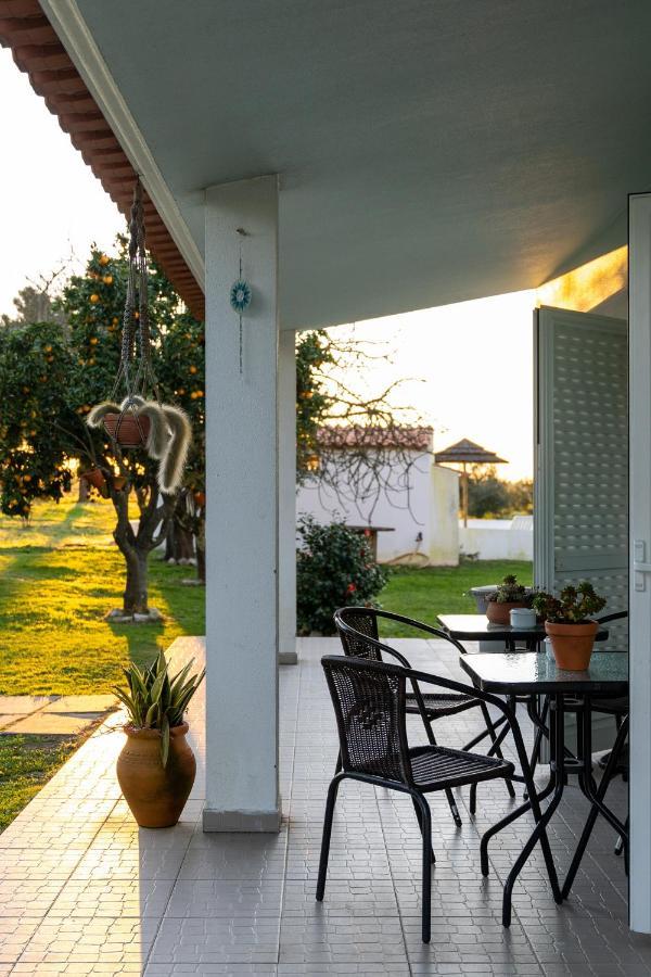 Na Quinta- Alojamento Rural Com Piscina De Agua Salgada Poceirao Ngoại thất bức ảnh