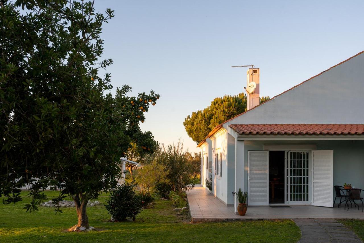 Na Quinta- Alojamento Rural Com Piscina De Agua Salgada Poceirao Ngoại thất bức ảnh