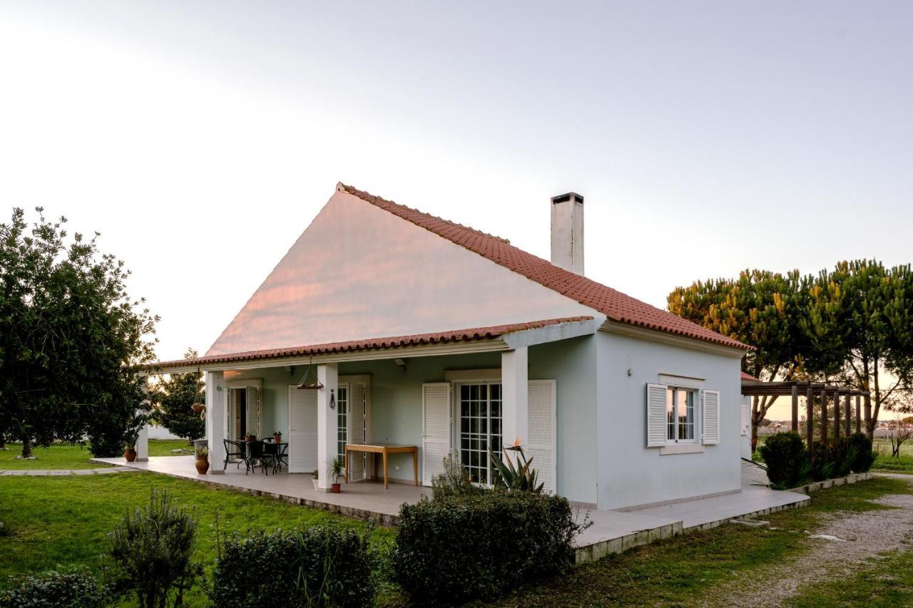 Na Quinta- Alojamento Rural Com Piscina De Agua Salgada Poceirao Ngoại thất bức ảnh