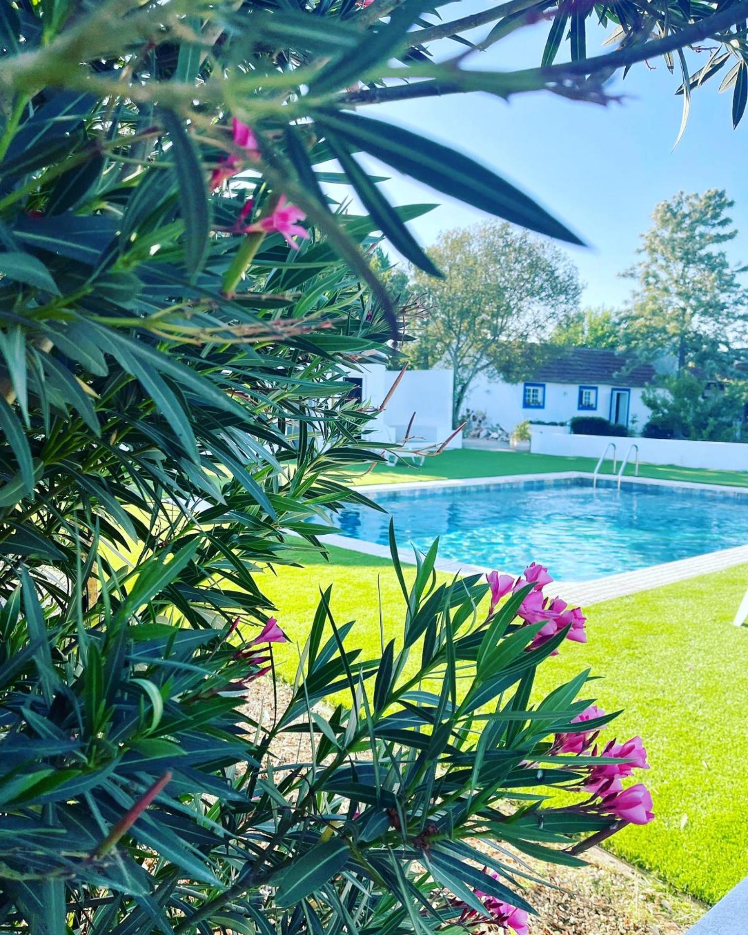 Na Quinta- Alojamento Rural Com Piscina De Agua Salgada Poceirao Ngoại thất bức ảnh