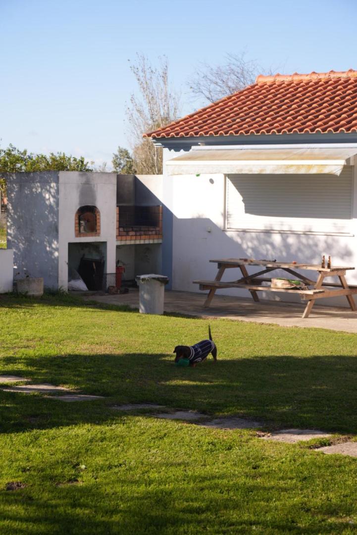 Na Quinta- Alojamento Rural Com Piscina De Agua Salgada Poceirao Ngoại thất bức ảnh